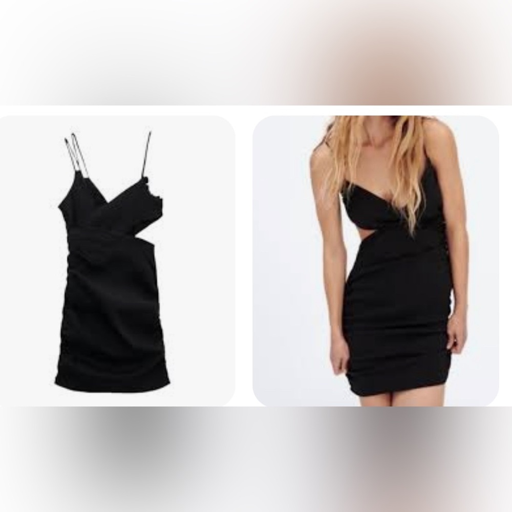 NWT Zara The Agnes Dress